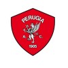 Fantasztikus ultráival igyekszik vissza a Serie A-ba a Perugia – videó